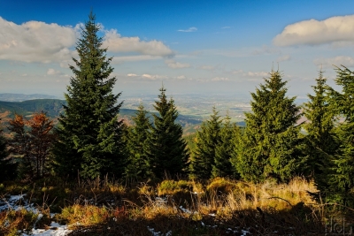 Pohled z vrcholu Travného Pohled z vrcholu Travného