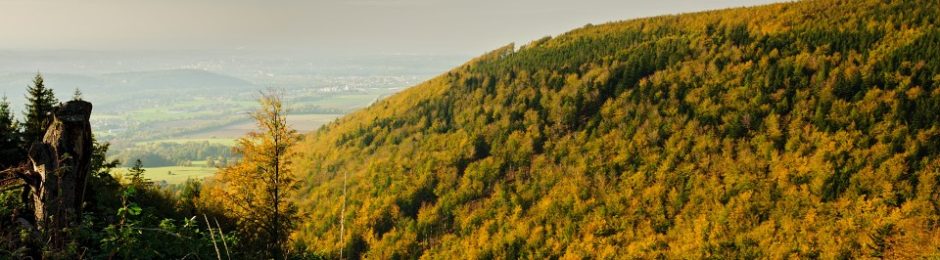 Podzimní Prašivá