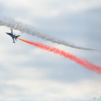 dsc_0230
