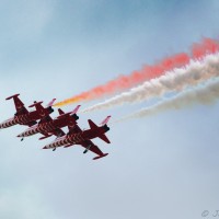dsc_0272