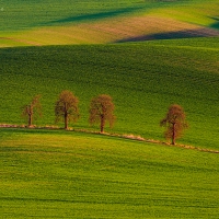 Moravské Toskánsko, Karlínské kaštany
