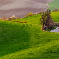 Moravské Toskánsko, vlnky u Čejče