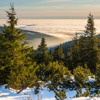 Zimní Jeseníky, pohled od Jelení studánky
