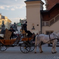 Drožky v ulicích Krakowa