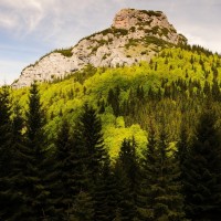 Pohled na Malý Rozsutec z rozcestí Pod Tanečnicou