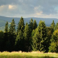 Velká Polana