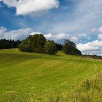 Louka  Ostružné, pod svahy Rychlebských hor