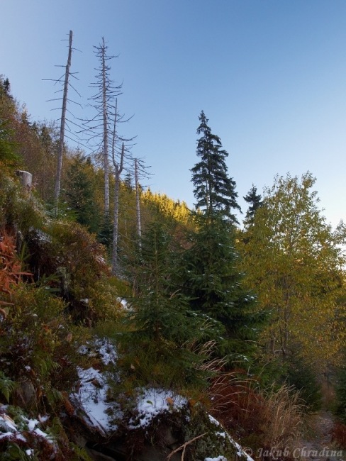 pa170281