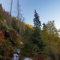 pa170281
