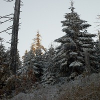 pa170308