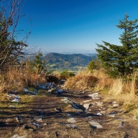 pa170368