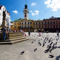 Rynek