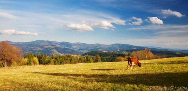 Panorama polských Beskyd z Cieslaru