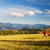 Panorama polských Beskyd z Cieslaru