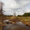 Výprava „Bialowiežský prales 2019“, III. část